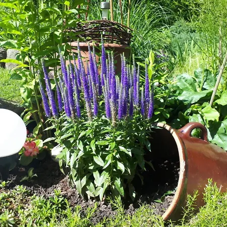 Holiday home Relaxx Woryty