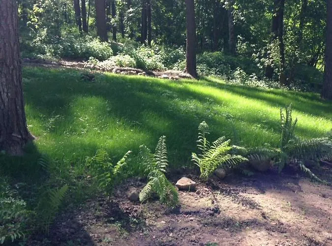 Relaxx Holiday home *